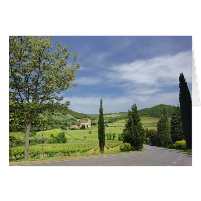 ヒノキの木々の間を曲がる田舎道 (正面横)