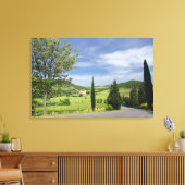 ヒノキの木々の間を曲がる田舎道 キャンバスプリント (インサイチュ (リビング))