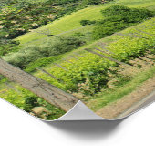 ヒノキの木々の間を曲がる田舎道 ポスター (角)