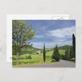 ヒノキの木々の間を曲がる田舎道 ポストカード (正面/裏面)