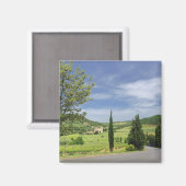 ヒノキの木々の間を曲がる田舎道 マグネット (正面/裏面)