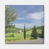 ヒノキの木々の間を曲がる田舎道 マグネット (正面)