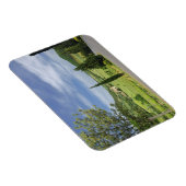 ヒノキの木々の間を曲がる田舎道 マグネット (右側)