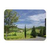 ヒノキの木々の間を曲がる田舎道 マグネット (横)