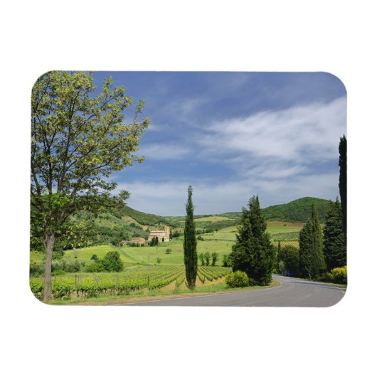 ヒノキの木々の間を曲がる田舎道 マグネット (横)