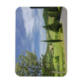 ヒノキの木々の間を曲がる田舎道 マグネット (縦)