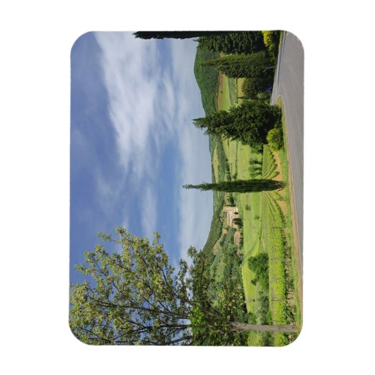 ヒノキの木々の間を曲がる田舎道 マグネット (縦)