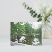 ヒノキの木々アットレルフートレイク ポストカード (スタンド正面)