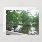 ヒノキの木々アットレルフートレイク ポストカード (正面/裏面)