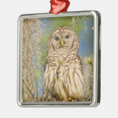 ヒノキの木に覆われた有刺フクロウ メタルオーナメント (左)