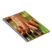 ヒノキの禿げ膝 ノートブック (右側)