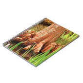 ヒノキの禿げ膝 ノートブック (左側)