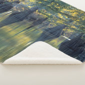 ヒノキの禿 |イリノイ州ホースシューレイク シェルパブランケット (3/4)