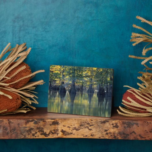 ヒノキの禿 |イリノイ州ホースシューレイク フォトプラーク (側面)