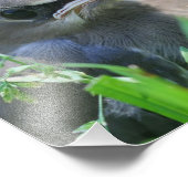 ヒノキの羽ばたき鳥8x10 フォトプリント            (角)