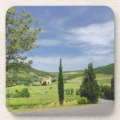 ヒノキの間を曲がる田舎道 コースター (正面)