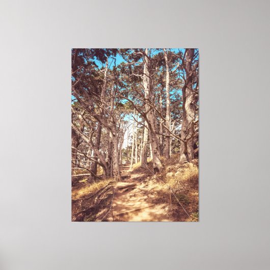 ヒノキ林 キャンバスプリント (正面)