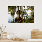 ヒノキ湖 ポスター (キッチン)