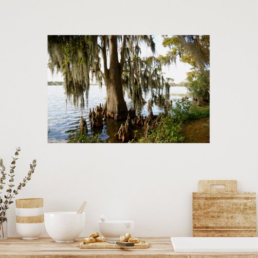 ヒノキ湖 ポスター (キッチン)