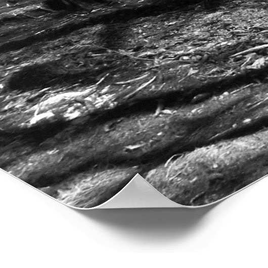 ヒノキ湖(白黒) ポスター (角)