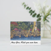 ヒノキ膝 ポストカード (スタンド正面)