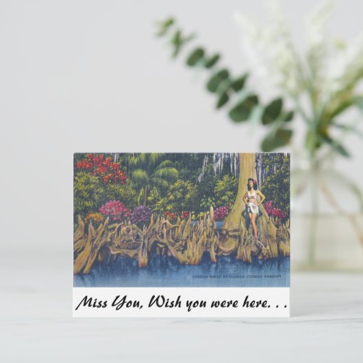 ヒノキ膝 ポストカード (スタンド正面)