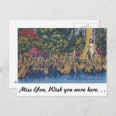 ヒノキ膝 ポストカード (正面/裏面)