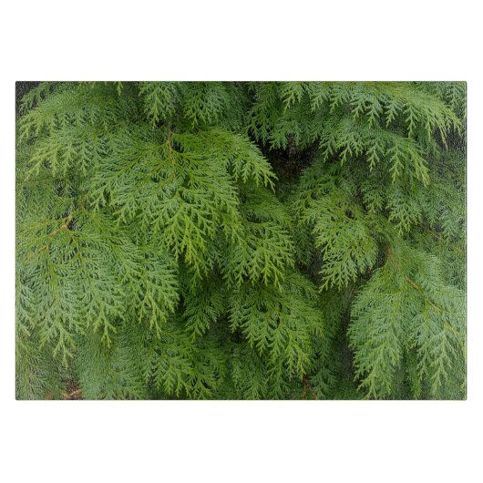 ヒノキ カッティングボード (正面)