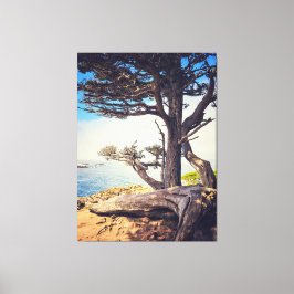 ヒノキ・バイ・ザ・シー キャンバスプリント