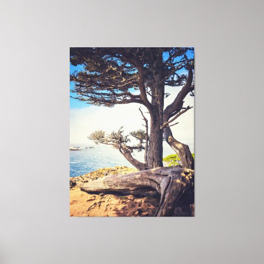 ヒノキ・バイ・ザ・シー キャンバスプリント (正面)