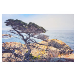 ヒノキ・バイ・ザ・シー メタルプリント