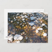 ヒノキ・ヒルズ、アルブ。カナダ ポストカード (正面/裏面)