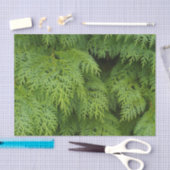 ヒノキ 薄葉紙 (クラフト)