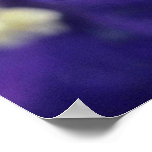 ヒノキ(Delphinium Hybride)花 ポスター (角)