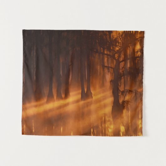 ヒノキ | George Smith州パーク タペストリー (正面(横))