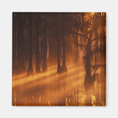 ヒノキ | George Smith州パーク マグネット (正面)