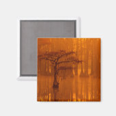 ヒノキ | George Smith州パーク マグネット (正面/裏面)