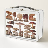 ヒバフランスのス植物プリントヴィンテージ メタルランチボックス (正面)