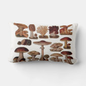 ヒバフランスのス植物プリントヴィンテージ ランバークッション (裏面)