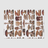 ヒバフランスのス植物プリントヴィンテージ 薄葉紙 (正面)