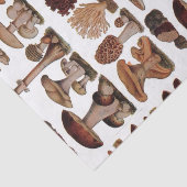 ヒバフランスのス植物プリントヴィンテージ 薄葉紙 (詳細)