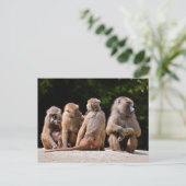 ヒヒとヒヒ シーズンポストカード (スタンド正面)