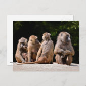 ヒヒとヒヒ シーズンポストカード (正面/裏面)