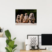 ヒヒと若い休日 ポスター (ホームオフィス)