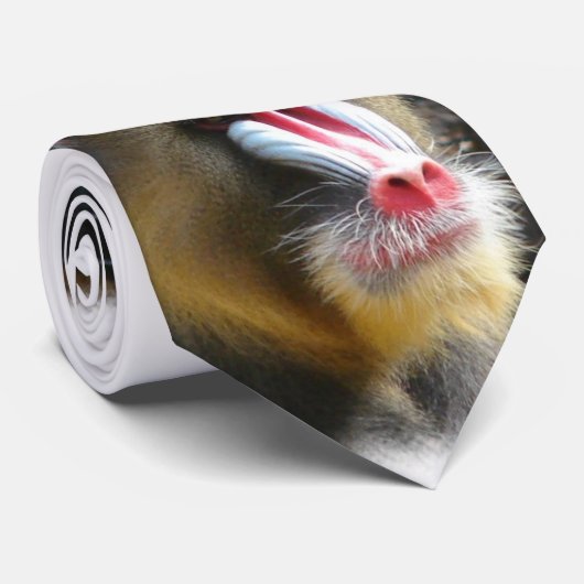 ヒヒの人のネクタイ ネクタイ (ロール)