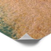 ヒヒポートレート ポスター (角)