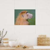 ヒヒポートレート ポスター (キッチン)
