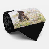 ヒヒ ネクタイ (ロール)