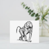 ヒヒ ポストカード (スタンド正面)