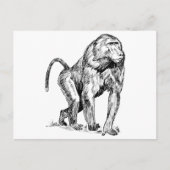 ヒヒ ポストカード (正面)